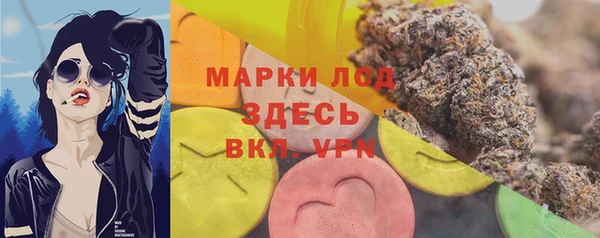 трава Арсеньев