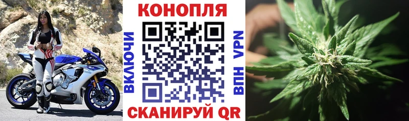 Конопля семена  даркнет сайт  Спасск 